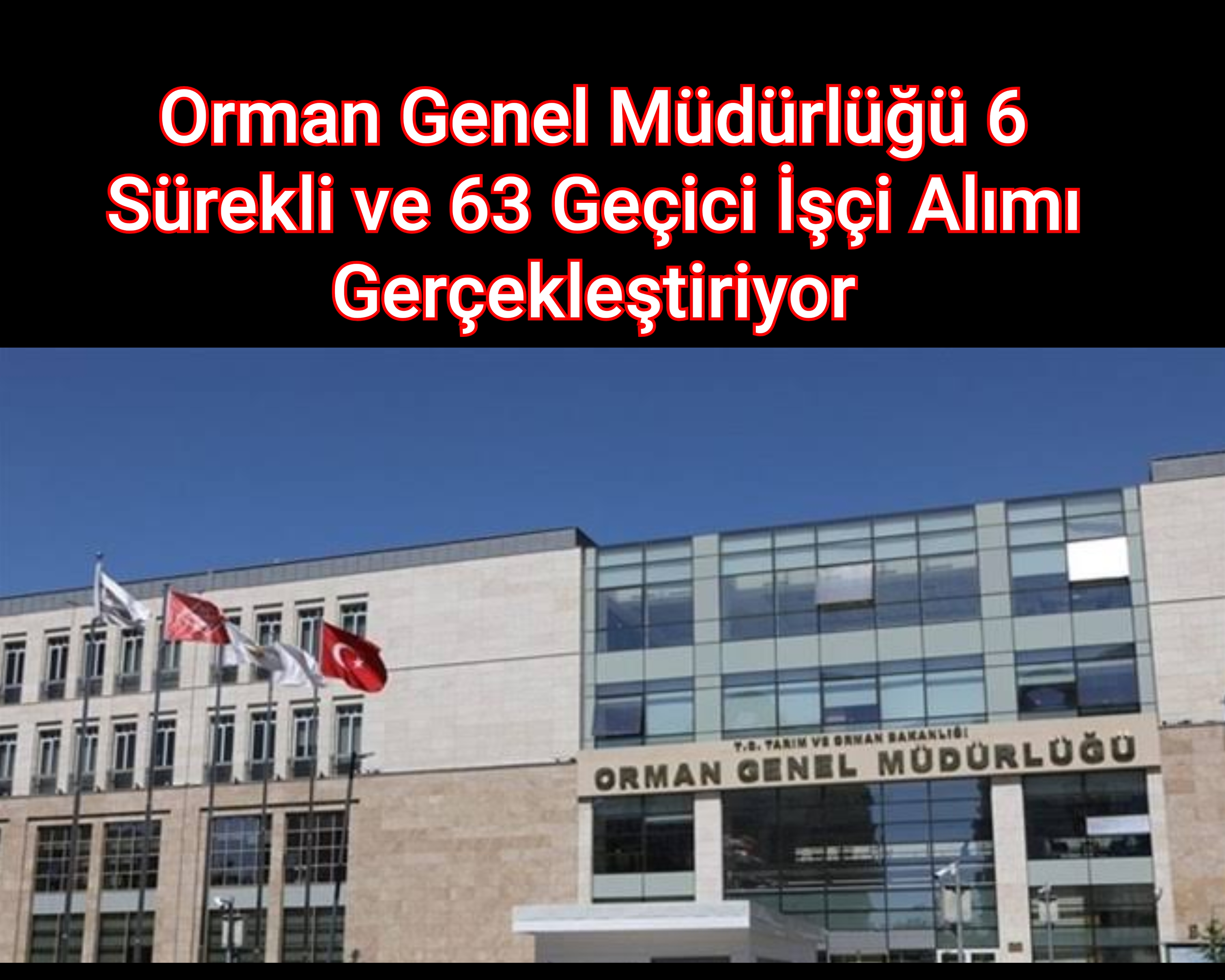 Orman Genel Müdürlüğü 6 Sürekli ve 63 Geçici İşçi Alımı Gerçekleştiriyor