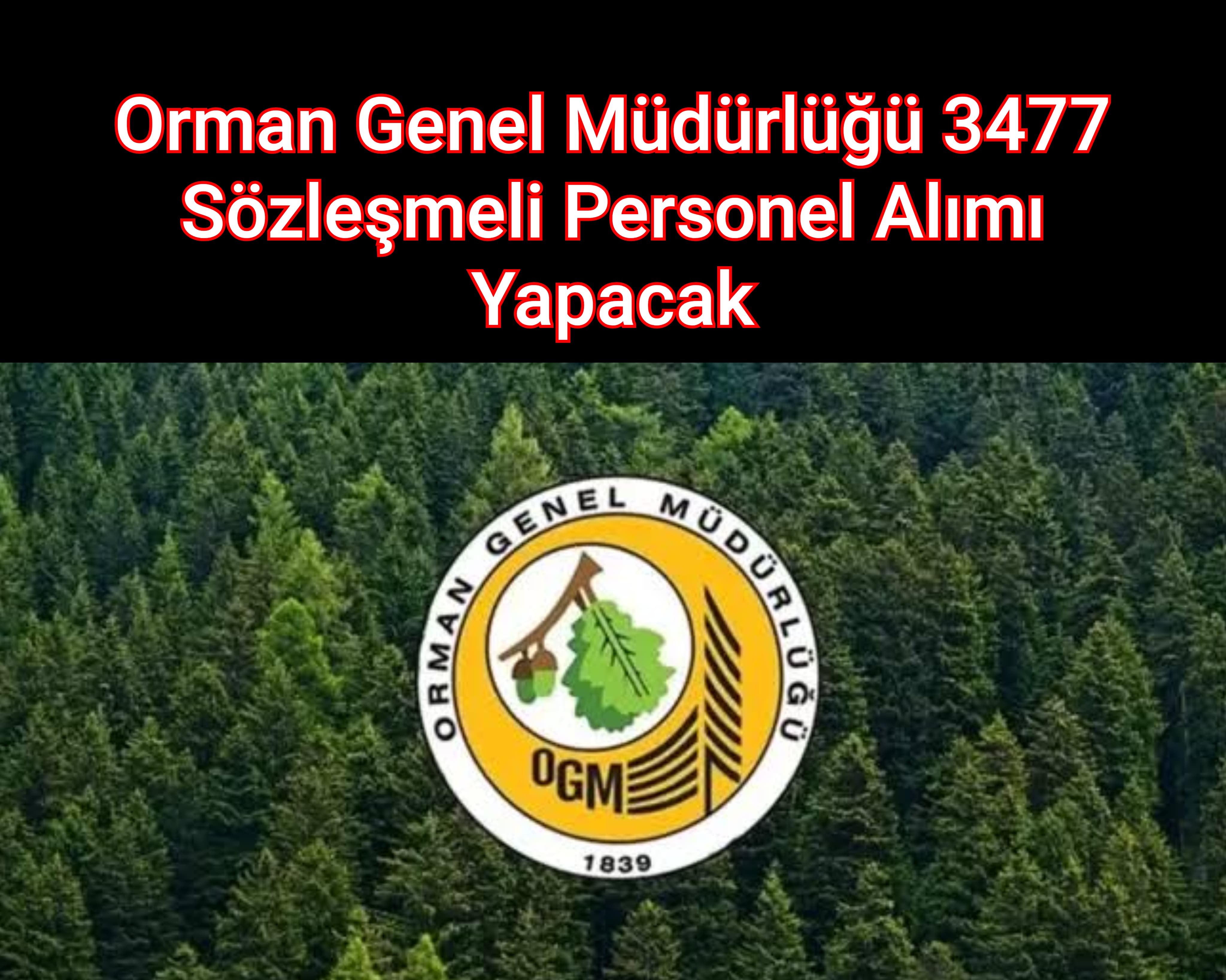 Orman Genel Müdürlüğü 3477 Sözleşmeli Personel Alımı Yapacak