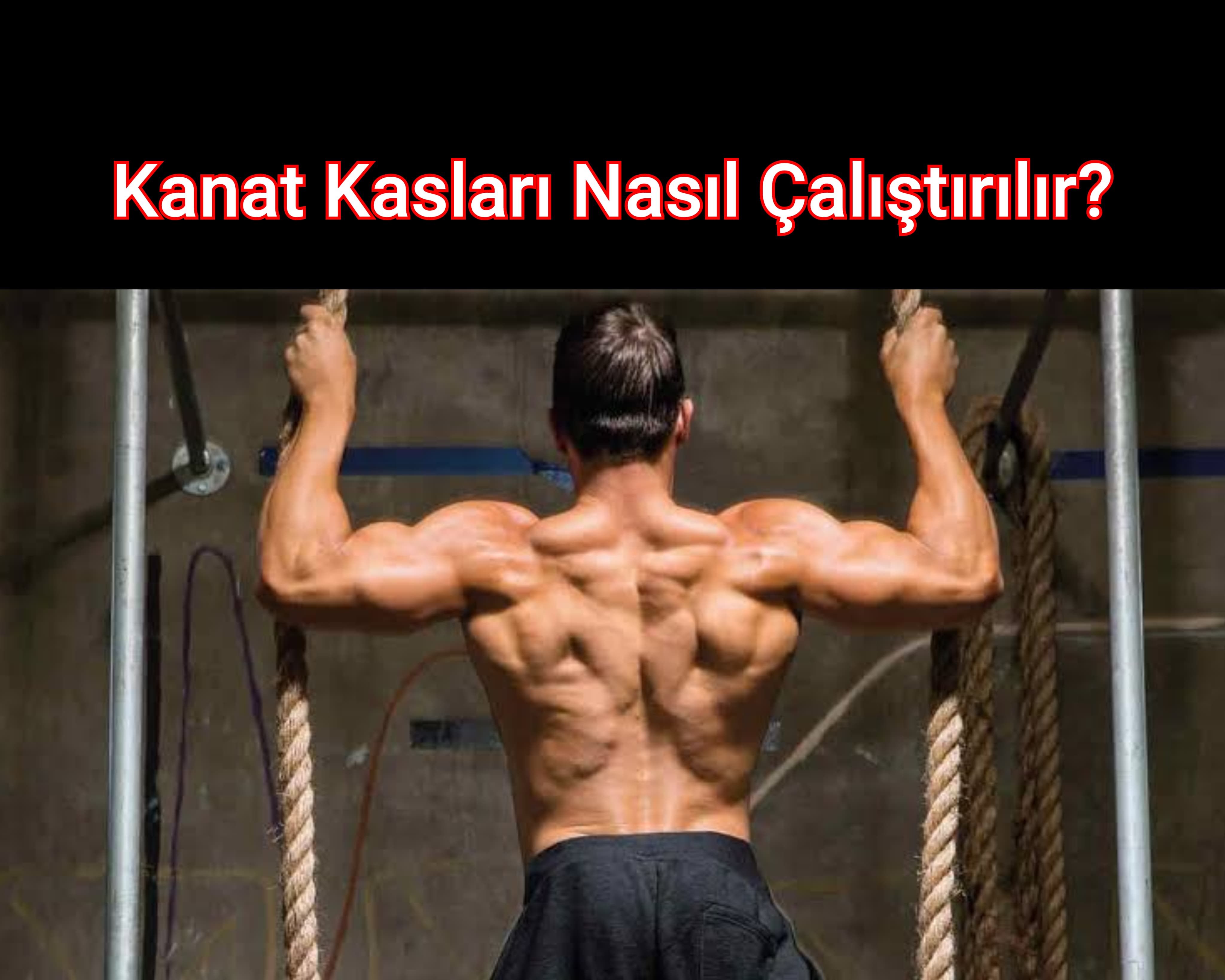 Kanat Kasları Nasıl Çalıştırılır?