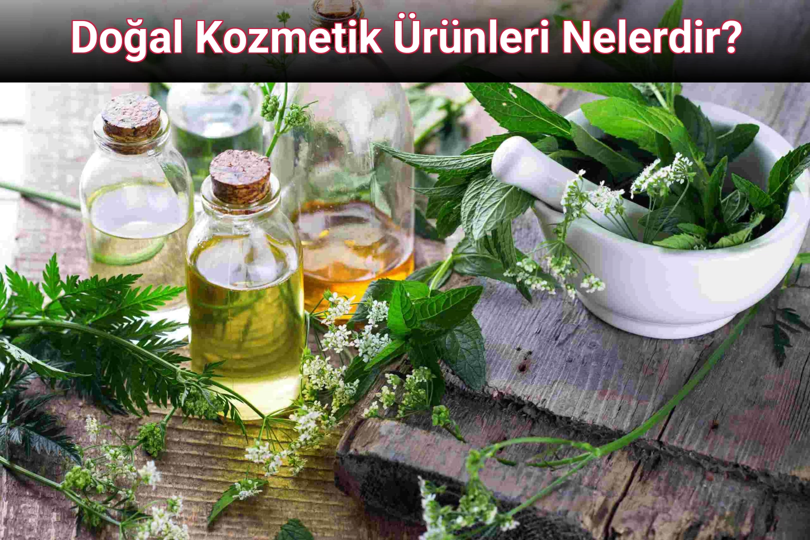 Doğal Kozmetik Ürünleri Nelerdir?