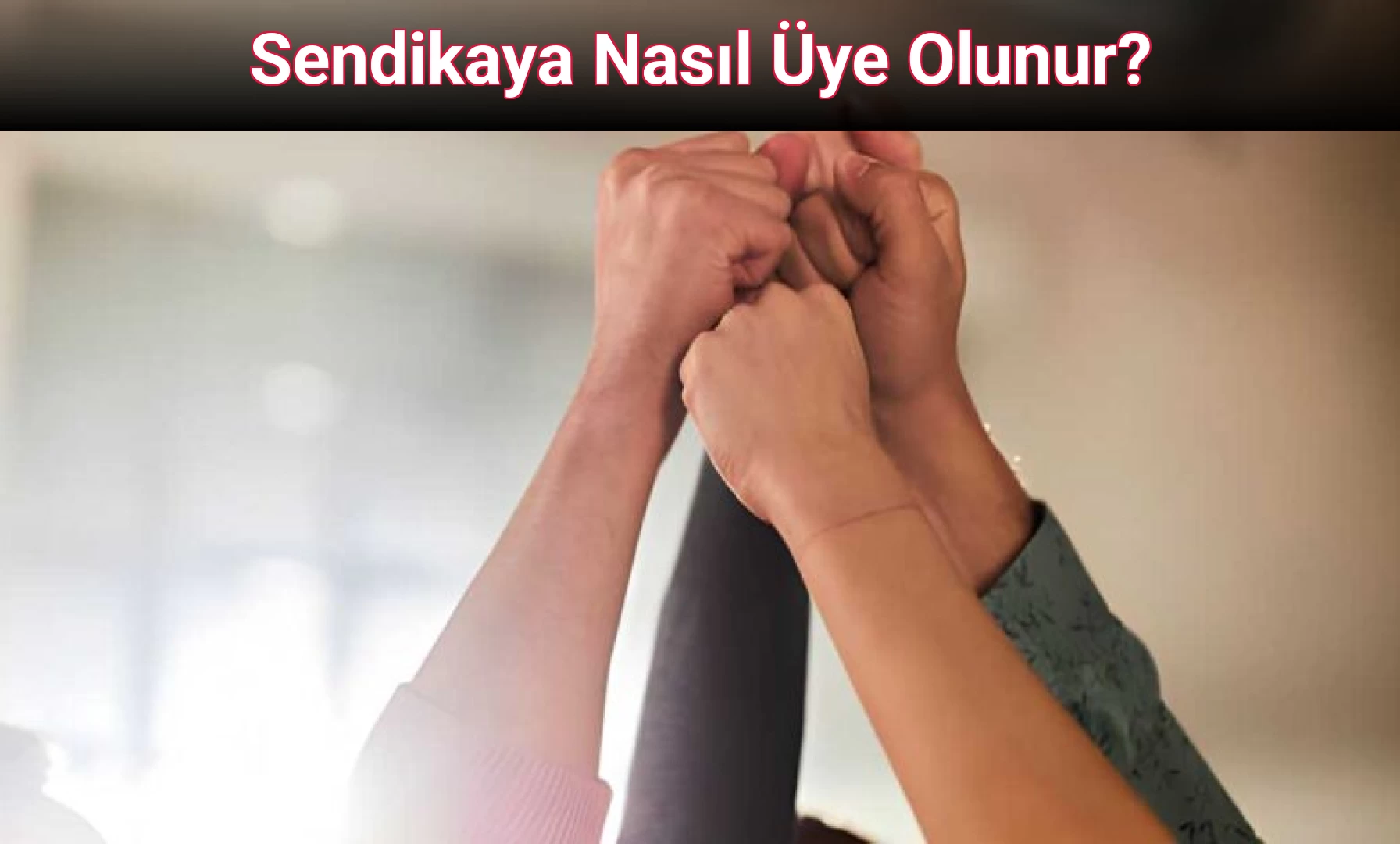 Sendikaya Nasıl Üye Olunur?