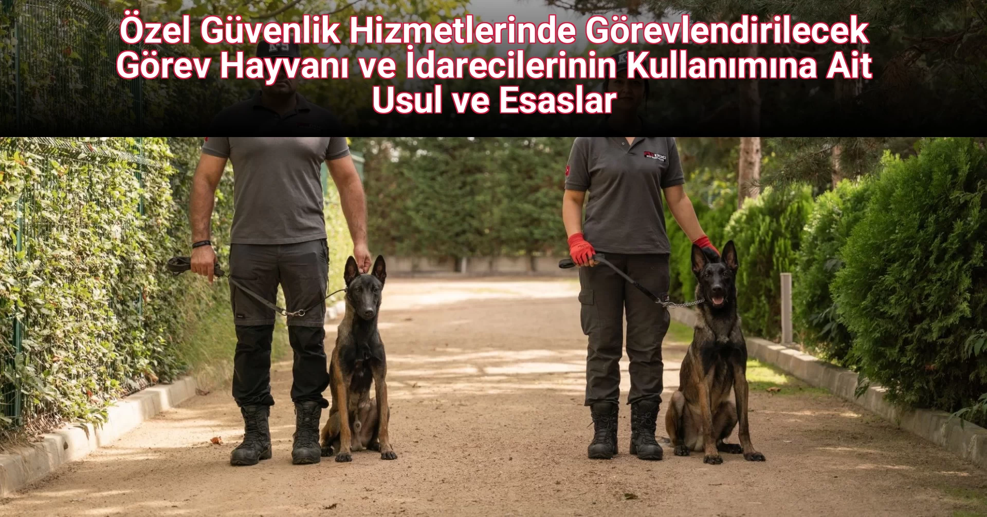 Özel Güvenlik Hizmetlerinde Görevlendirilecek Görev Hayvanı ve İdarecilerinin Kullanımına Ait Usul ve Esaslar