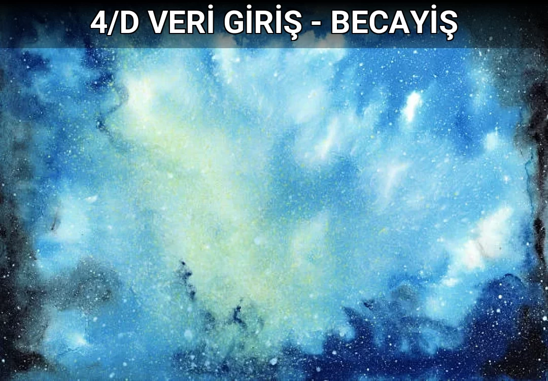 4/D VERİ GİRİŞ - BECAYİŞ