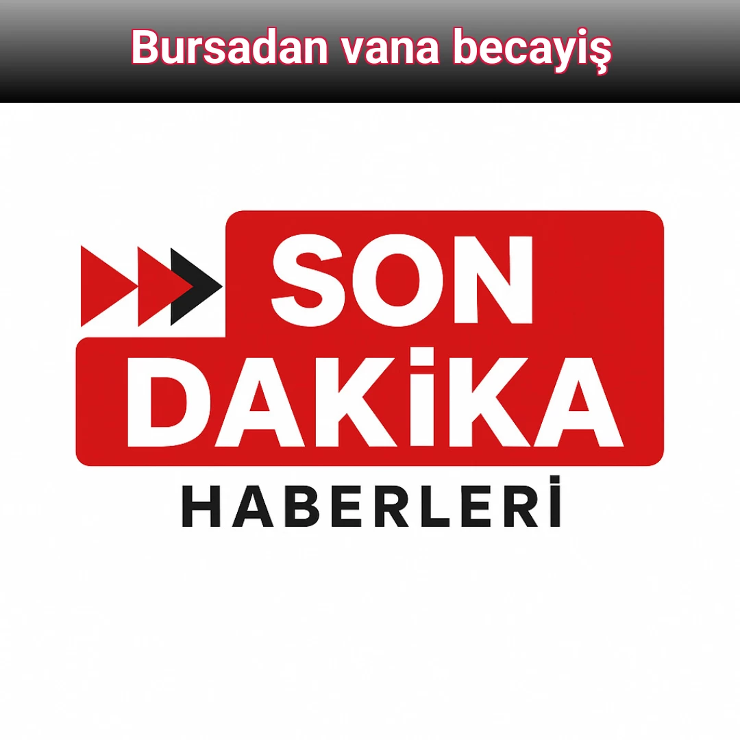 Bursadan vana becayiş