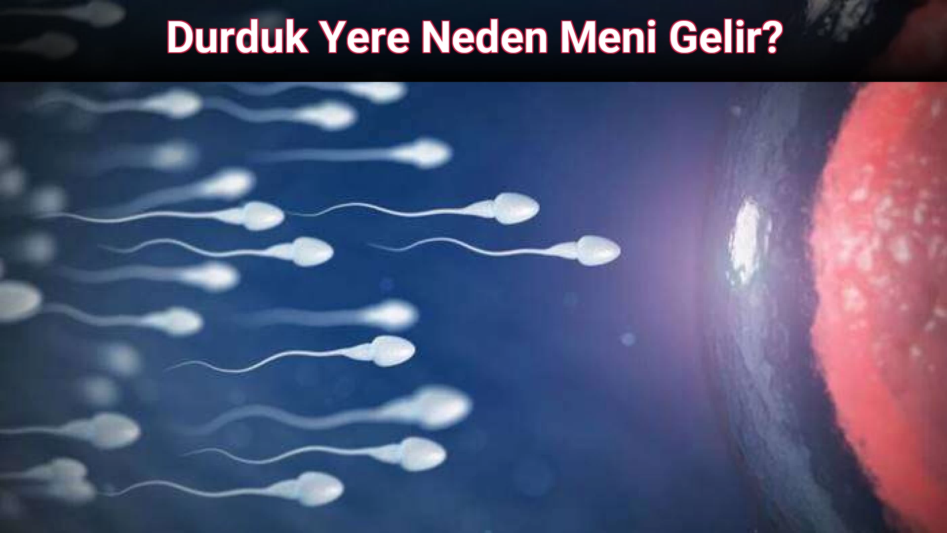 Durduk Yere Neden Meni Gelir?