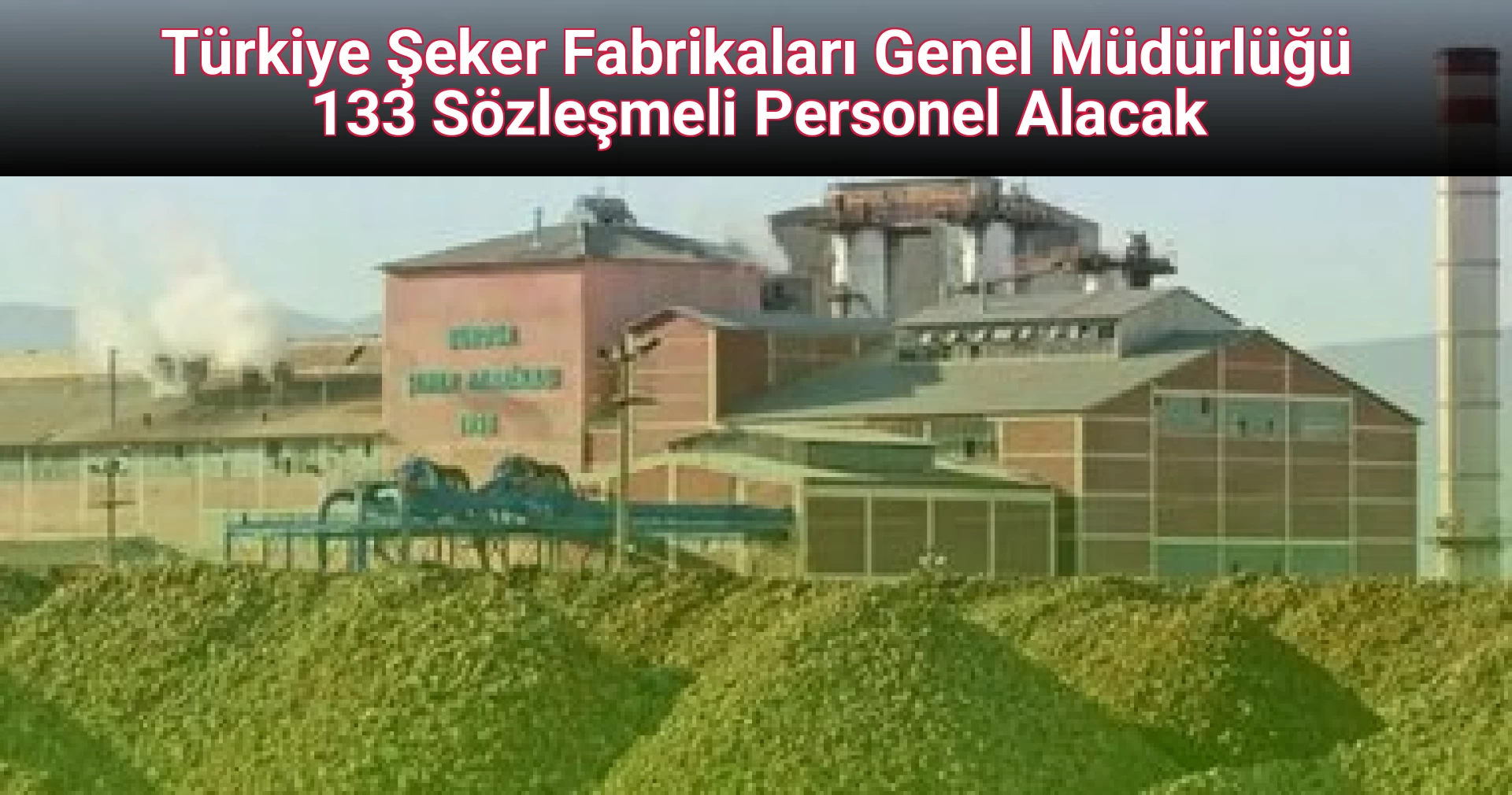 Türkiye Şeker Fabrikaları Genel Müdürlüğü 133 Sözleşmeli Personel Alacak
