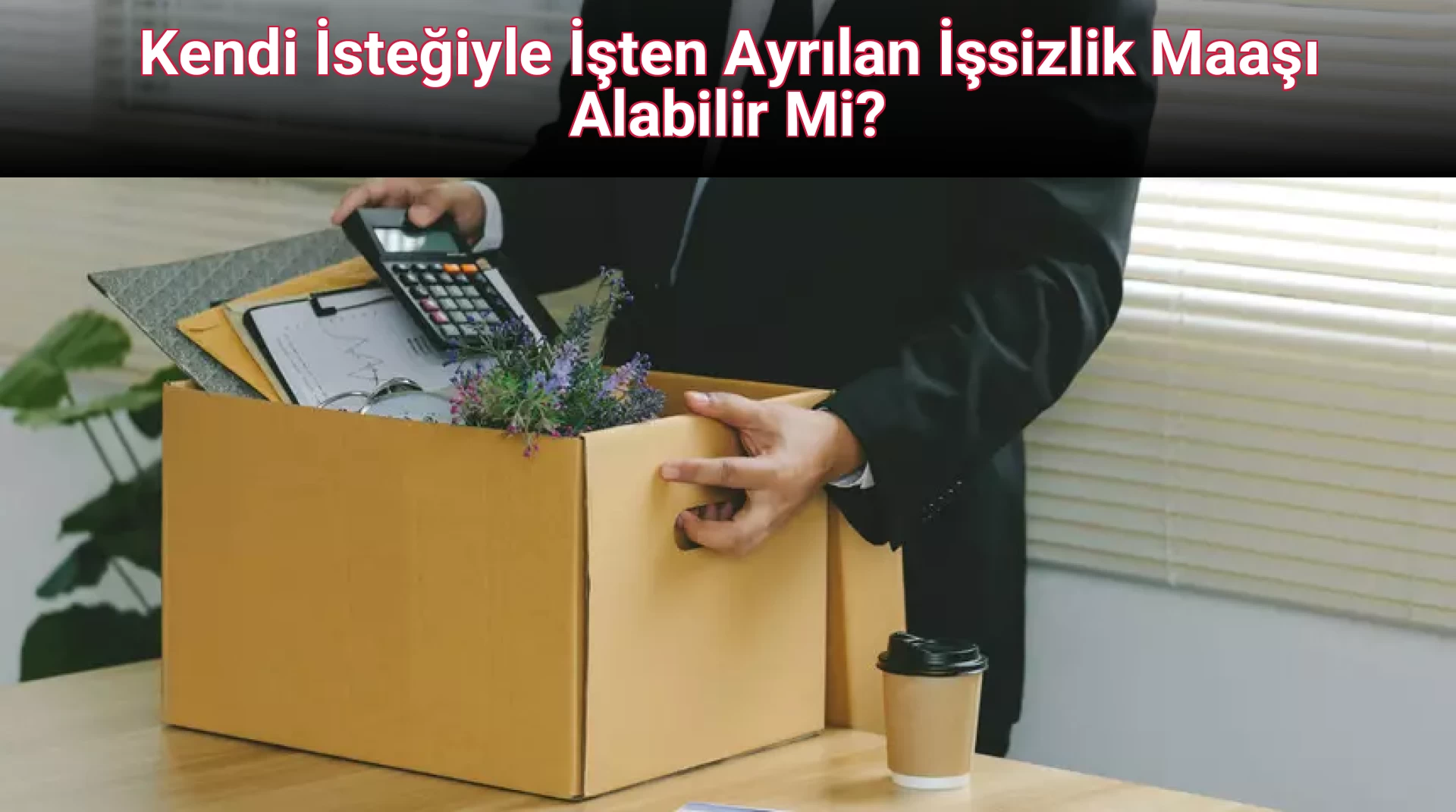 Kendi İsteğiyle İşten Ayrılan İşsizlik Maaşı Alabilir Mi?
